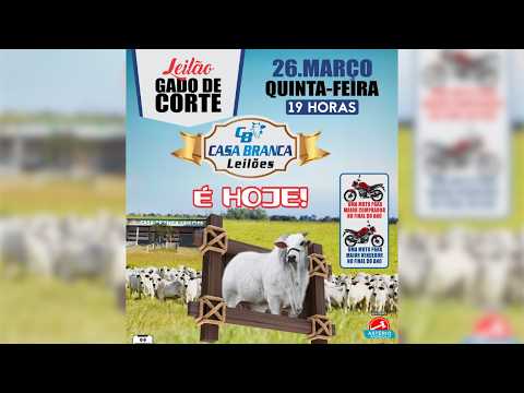 LEILÃO GADO DE CORTE CASA BRANCA LEILÕES -  CAMPINORTE - GO 26 /03/ 2026