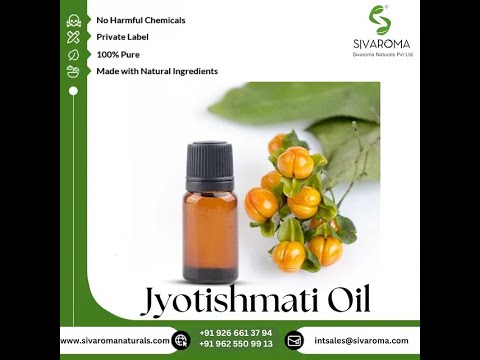 Jyotishmati Carrier Oil