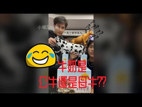 , title : '瘋狂小楊哥-牛奶是公牛還是母牛???【20211209直播】精華3'
