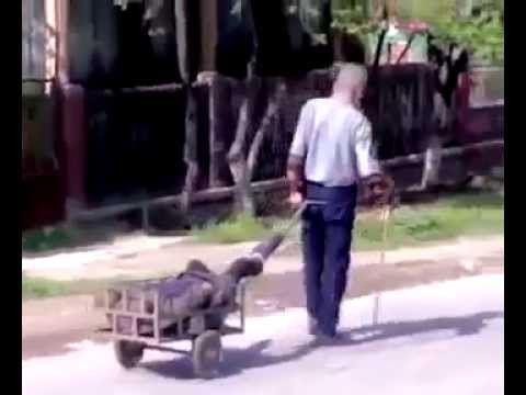 [FilmariComice] Cum se cara nevestele bete prin sat