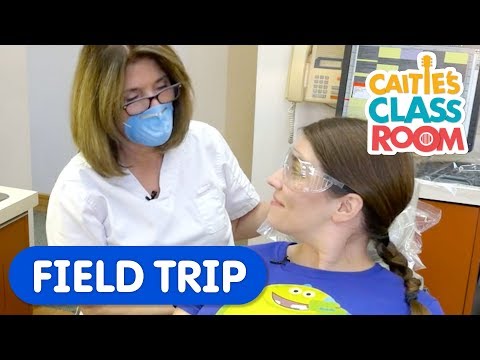 A Visit To The Dentist | Caitie's Classroom Field Trip | First Dental Visit Video for Kids
