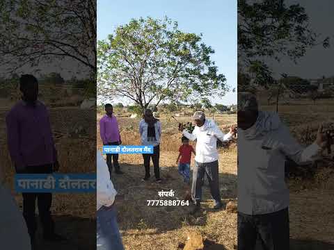का कळत नाही पाणी | पानाडी दौलतराव मैंद #watertest #पानिकैसेदेखे #panadi #daulatrao