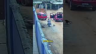 Pit Bull Charged…He Stayed Calm#PitBull #Dog #DogAttack