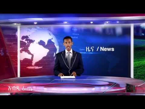 Omn Weekly Amharic Program Aug 09 2014