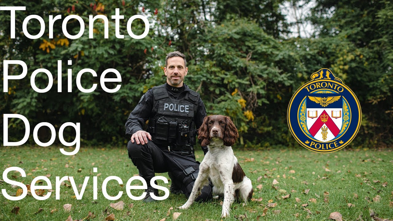 Learn about Toronto Police Dog Services
