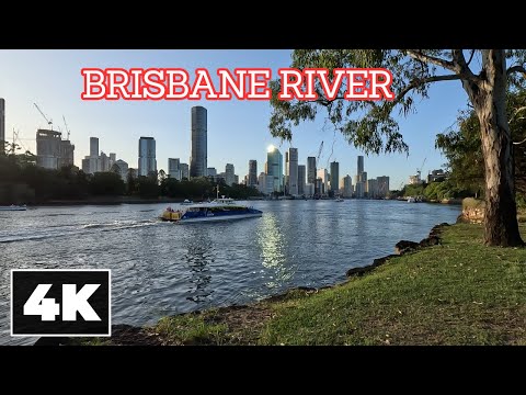 Brisbane River, Brisbane || [4K] Ambient Walk