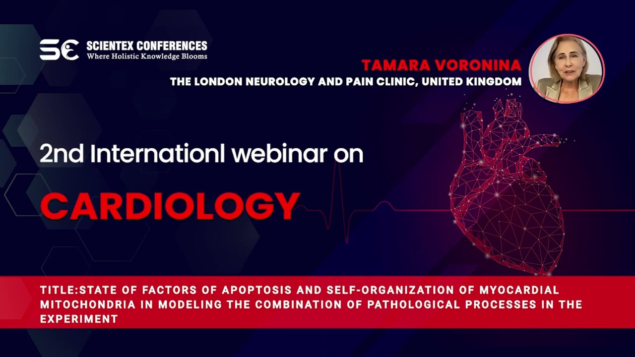 State of factors of apoptosis and self-organization of myocardial mitochondria in modeling the combination of pathological processes in the experiment