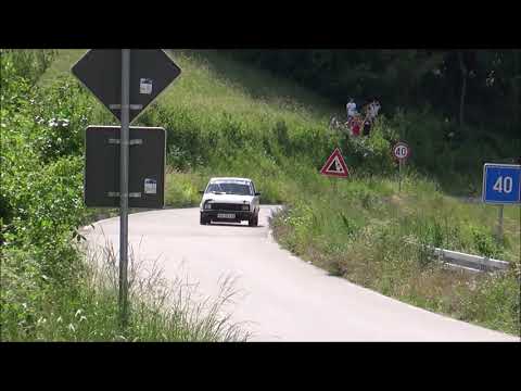 Aleksandar Tesanovic / Igor Angelovski - 2. Valjevski rally 2021 - Zastava Yugo 55 N