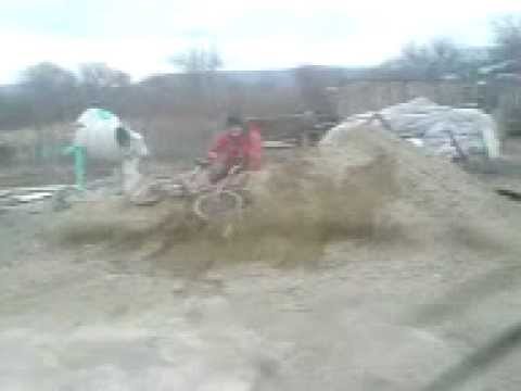 berbecu din salbagel