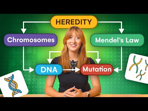 HSC Biology Module 5 (Heredity) Explained in Under 13 Minutes