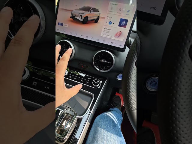 Forthing Friday REEV Interior Impression!