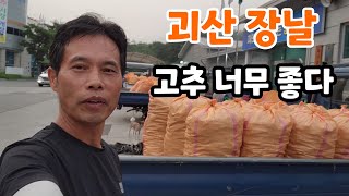 괴산 장날 고추 최고로 좋은것 가격이? 고추 시세