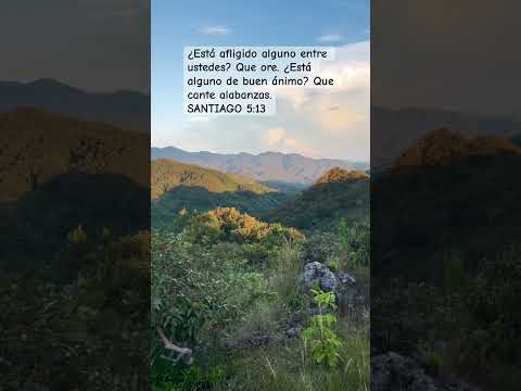 Una tarde ralajada en la reina tilapa chalatenango 🧘‍♀️☀️⛰️🌳🌲