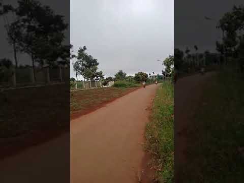 Sang nhanh sổ đất, rẫy 900 triệu Thuận Hà, Đắk Song để đầu tư