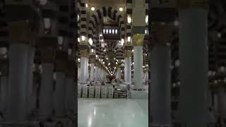 Download lagu Subha Allah wal humdulla #allahuakbar#allah#yaalllahyarahmaan mp3 Download lagu Subha Allah wal humdulla #allahuakbar#allah#yaalllahyarahmaan mp3