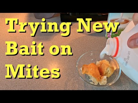 New bait for rounding up mites in worm bins - vermicomposting