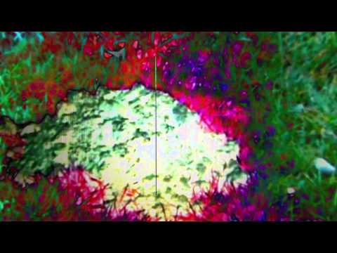 Pražský Syndrom - Pražský syndrom - LOBO NA RUBY