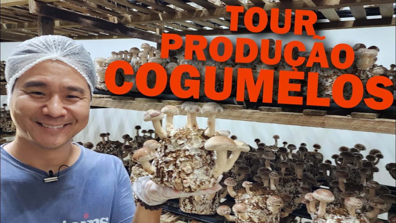 Tour na Produção de Cogumelos