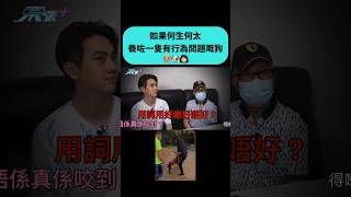 如果何伯同何太養咗一隻有行為問題嘅狗狗會點?🤔一定唔會係何伯何太嘅錯,一定係人哋唔啱👿大家又講下聽過啲咩「為狗狗辯護の無限個ridiculous的理由」💩
