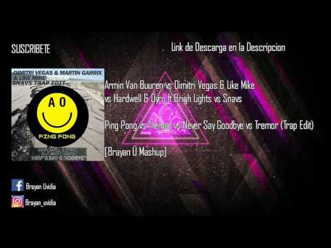 Ping Pong vs Tremor/Trap vs Never Say Goodbye (Brayan Ü Mashup)