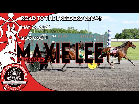 2022 Maxie Lee - Lovedbythemasses - Open Trot