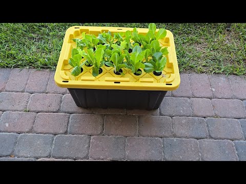 STEP 1: How to Start a Hydroponics Garden at Home | Complete Growing System Tutorial
