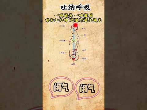不傳之秘，吐納之法，迅速打通小周天，不传之秘，吐纳之法，迅速打通小周天 #中医 #中醫 #健康 #健康科普 #医学科普 #知识分享 #養生 #養生動作 #呼吸 #保健 #養生道 #