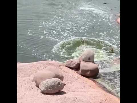 You either have grace, or you don't 😂   Try Not to Laugh