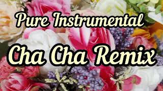 Download lagu CHA CHA Remix INSTRUMENTAL #remix #song #music  mp3