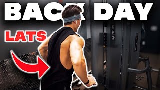 Isolation Back Workout | My Favorite Fitness Brands
