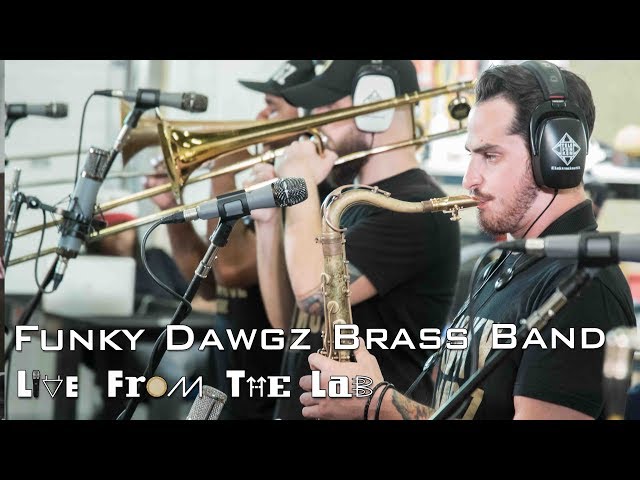 Funky Dawgz Brass Band - Live Ya Life (Remix Stems)