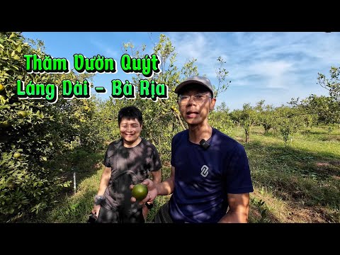 Vườn Quýt tại Láng Dài tỉnh Bà Rịa - Dựán du lịch nghỉ dưỡng