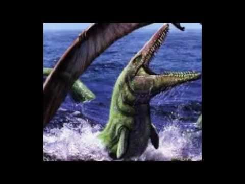 My Tribute to Mosasaurs