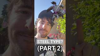 Is this a Steel Type? (Part 2)🦗⚙️