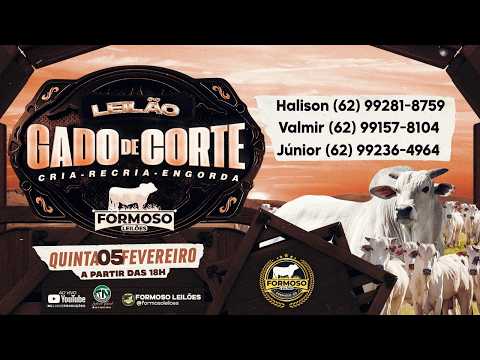 LEILÃO GADO DE CORTE FORMOSO LEILÕES - FORMOSO - GO - 05/02/2026