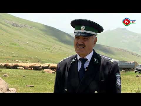 Bərəkət - 08.07.2022