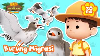 Download lagu Burung yang bermigrasi di seluruh dunia! 🦅 | Leo Si Penjaga Alam | Kartun Edukasi Anak mp3