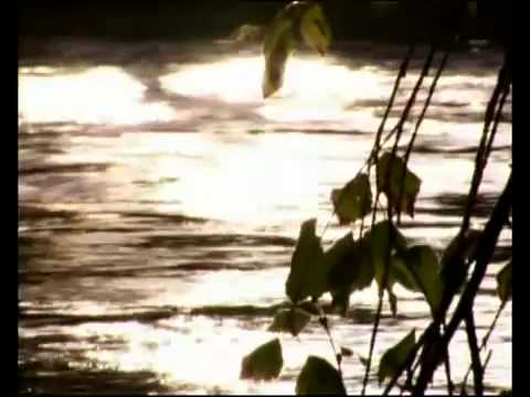 Scott MacKenzie Spey Casting Masterclass DVD