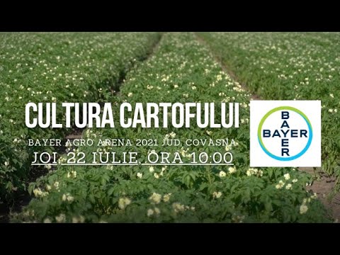, title : 'BAYER AGRO ARENA 2021 JUD. COVASNA – CULTURA CARTOFULUI'