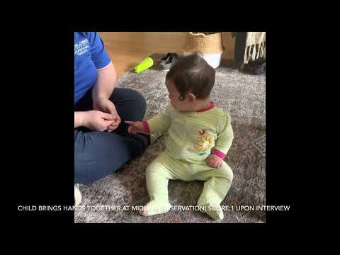 Battelle Developmental Inventory