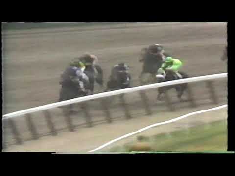 1993 Belmont Stakes
