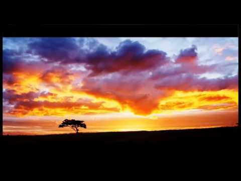 Muddy Walls Pan Pot & Martin Eyerer Abby (Danny Fiedler FMR Remix)