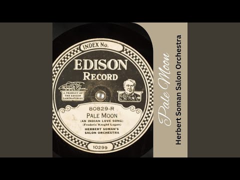 Our Bungalow of Dreams