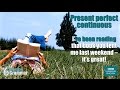 GRAMMAR: How to use the present perfect ...