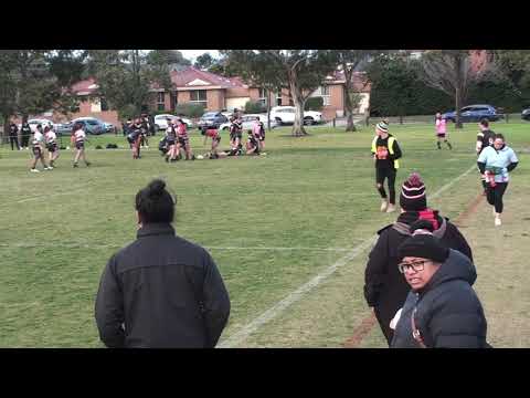 NRL Victoria Round 9 Highlights - Mens First Grade