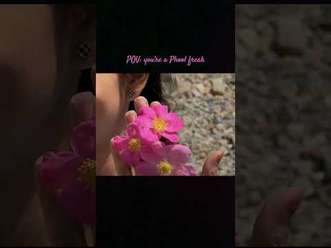 #flowers #lovestory #spitivalley #travel #traveldestinations #himachal #mountainsintomemories