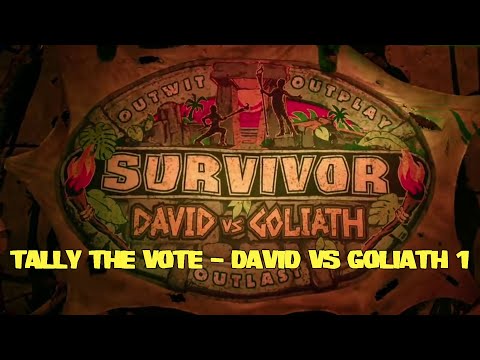 Tally the Vote   David vs Goliath 1