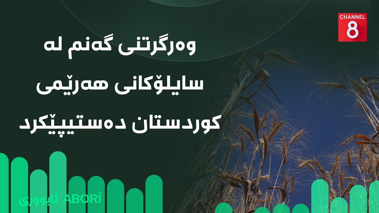ڤیدیۆ | ئابووری - وەرگرتنی گەنم لە سایلۆکانی هەرێمی کوردستان دەستیپێکرد