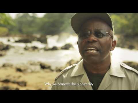 Okapi Conservation Project