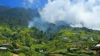 Download lagu Zalmon 'Diseso Bayang' mp3 Download lagu Zalmon 'Diseso Bayang' mp3